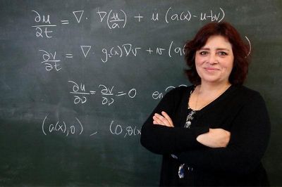 La Cátedra Unesco Formación de docentes para enseñar matemáticas en el Siglo XXI es encabezada por la académica de la Facultad de Ciencias Físicas y Matemáticas y del Centro de Modelamiento Matemático, Salomé Martínez.